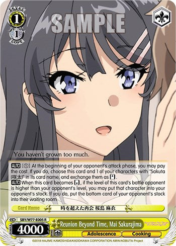 Reunion Beyond Time, Mai Sakurajima [Rascal Does Not Dream of a Dreaming Girl]