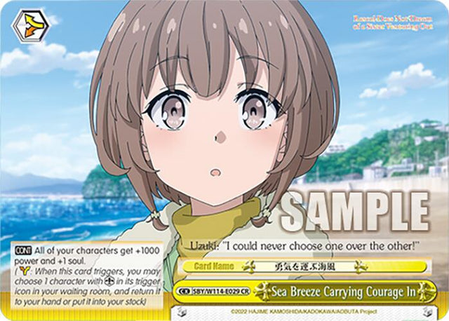 Sea Breeze Carrying Courage In (SBY/W114-E029 CR) [Rascal Does Not Dream Series]