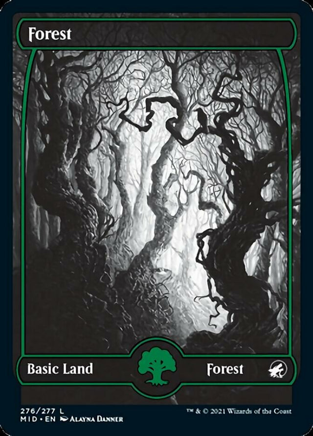 Forest (276) [Innistrad: Midnight Hunt] - PCA Designer Toys