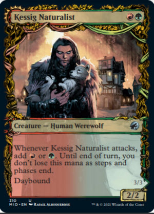 Kessig Naturalist // Lord of the Ulvenwald (Showcase Equinox) [Innistrad: Midnight Hunt] - PCA Designer Toys