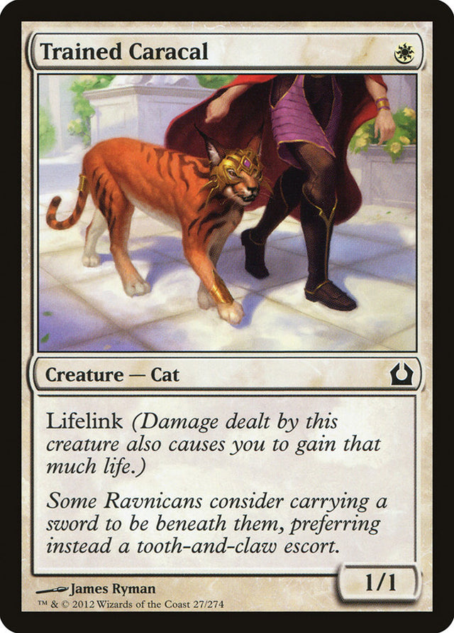 Trained Caracal [Return to Ravnica] - PCA Designer Toys