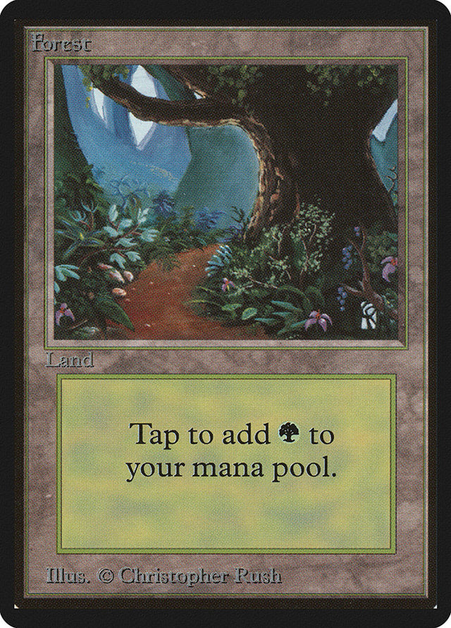 Forest (301) [Beta Edition] - PCA Designer Toys