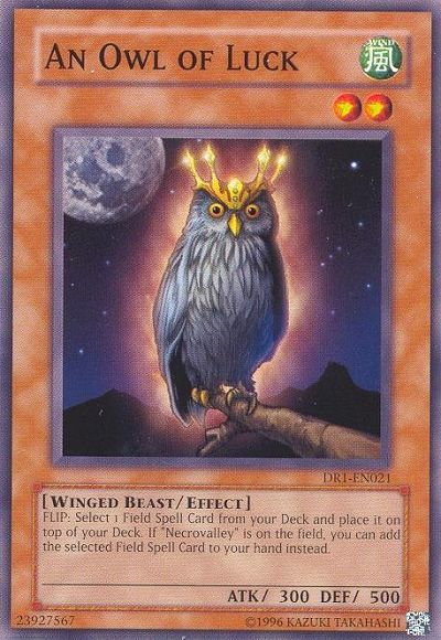 An Owl of Luck [DR1-EN021] Common - PCA Designer Toys